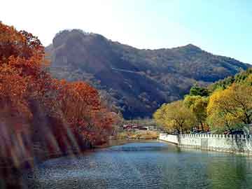 管家婆黑白马报图库，天涯